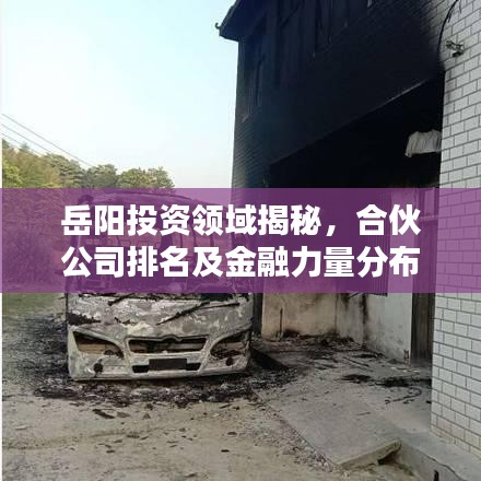岳阳投资领域揭秘，合伙公司排名及金融力量分布解析