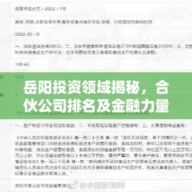 岳阳投资领域揭秘,合伙公司排名及金融力量分布解析