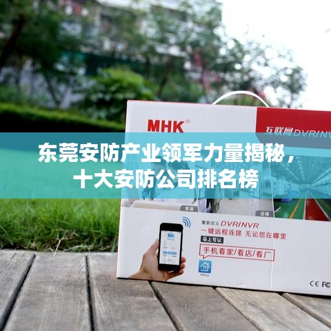 东莞安防产业领军力量揭秘，十大安防公司排名榜