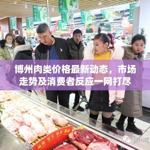 博州肉类价格最新动态，市场走势及消费者反应一网打尽