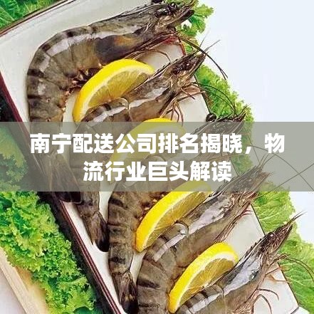 南宁配送公司排名揭晓，物流行业巨头解读