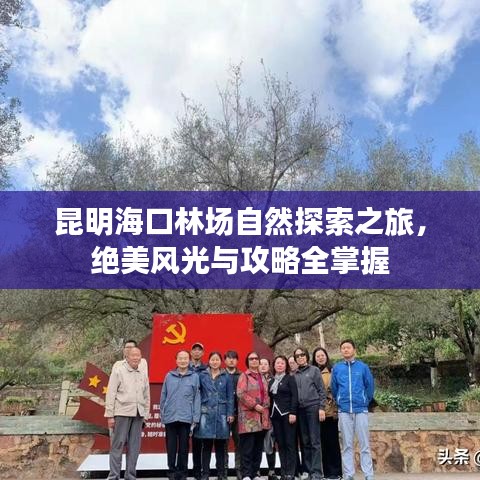 昆明海口林场自然探索之旅，绝美风光与攻略全掌握