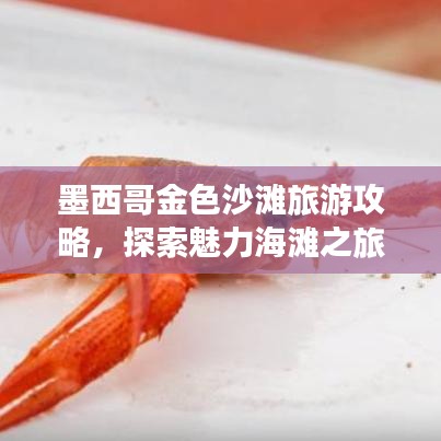 墨西哥金色沙滩旅游攻略，探索魅力海滩之旅