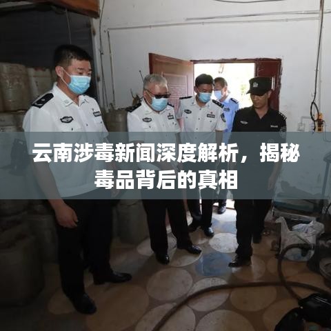 云南涉毒新闻深度解析，揭秘毒品背后的真相