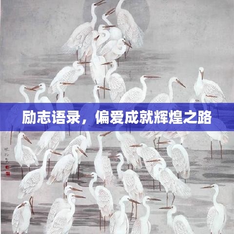 励志语录，偏爱成就辉煌之路