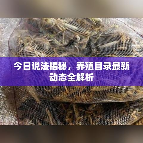 今日说法揭秘，养殖目录最新动态全解析