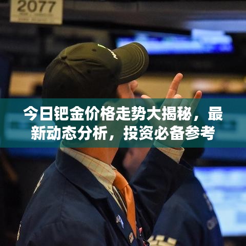 今日钯金价格走势大揭秘，最新动态分析，投资必备参考
