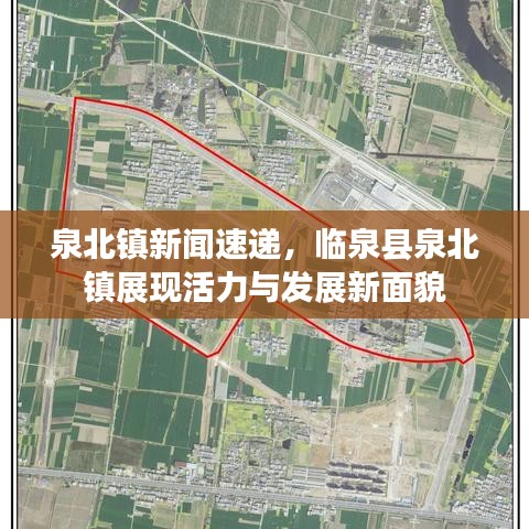 泉北镇新闻速递，临泉县泉北镇展现活力与发展新面貌