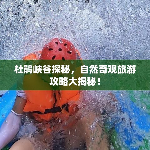 杜鹃峡谷探秘，自然奇观旅游攻略大揭秘！