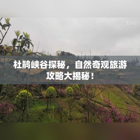 杜鹃峡谷探秘,自然奇观旅游攻略大揭秘!