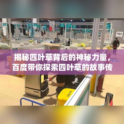 揭秘四叶草背后的神秘力量，百度带你探索四叶草的故事传奇