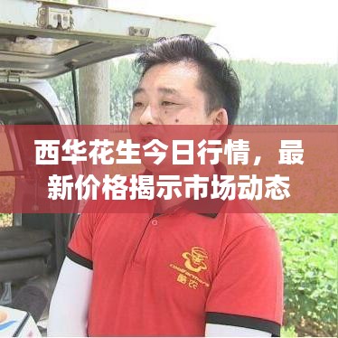 西华花生今日行情，最新价格揭示市场动态，洞悉行业趋势！