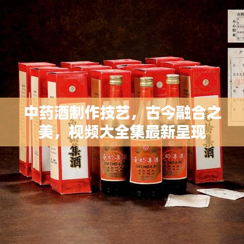 中药酒制作技艺，古今融合之美，视频大全集最新呈现