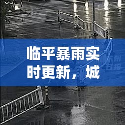 临平暴雨实时更新，城市与居民生活受天气影响严重