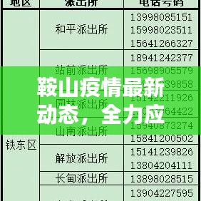 鞍山疫情最新动态，全力应对守护家园安宁