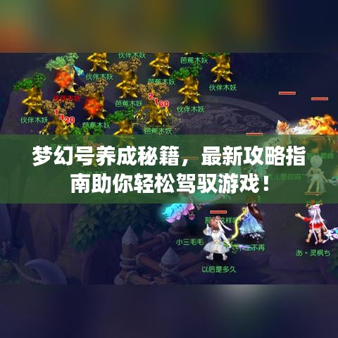 梦幻号养成秘籍，最新攻略指南助你轻松驾驭游戏！