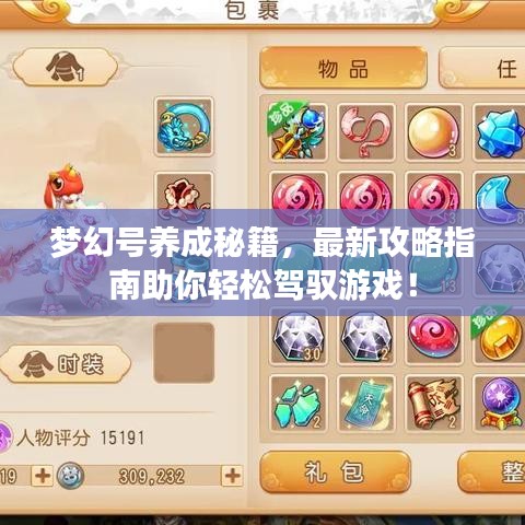 梦幻号养成秘籍,最新攻略指南助你轻松驾驭游戏!