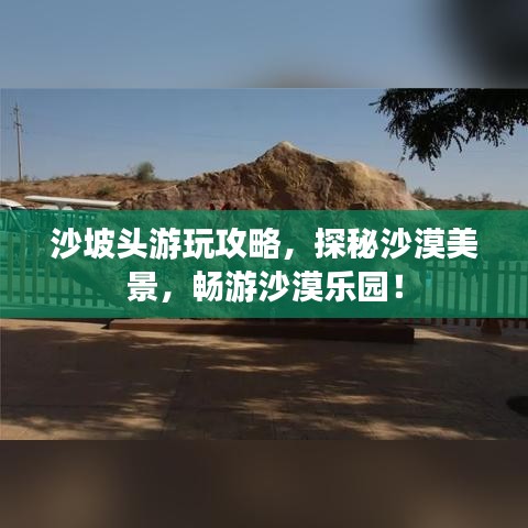 沙坡头游玩攻略，探秘沙漠美景，畅游沙漠乐园！