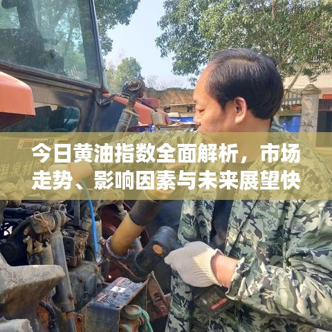 今日黄油指数全面解析，市场走势、影响因素与未来展望快速查询