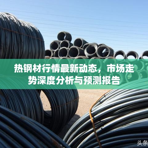 热钢材行情最新动态，市场走势深度分析与预测报告