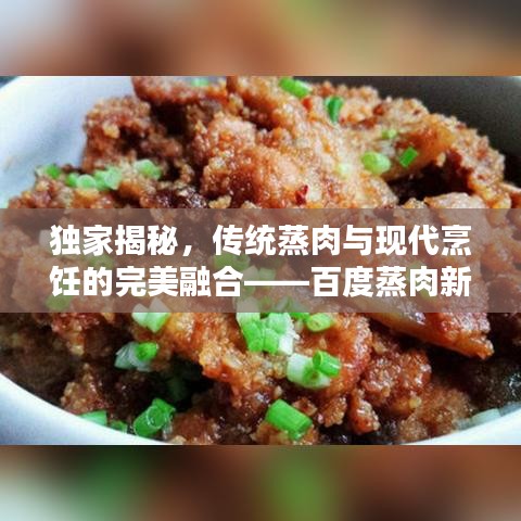 独家揭秘，传统蒸肉与现代烹饪的完美融合——百度蒸肉新风尚！