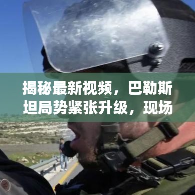 揭秘最新视频，巴勒斯坦局势紧张升级，现场动态全解析
