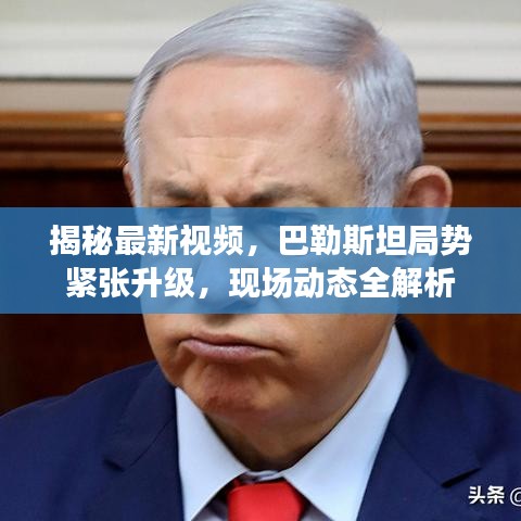 揭秘最新视频,巴勒斯坦局势紧张升级,现场动态全解析