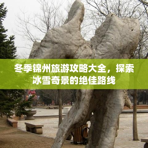 冬季锦州旅游攻略大全,探索冰雪奇景的绝佳路线