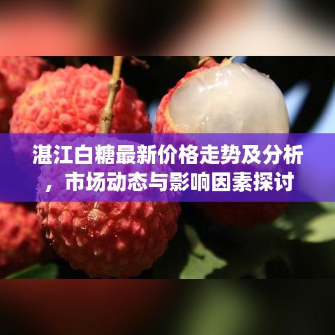 湛江白糖最新价格走势及分析，市场动态与影响因素探讨