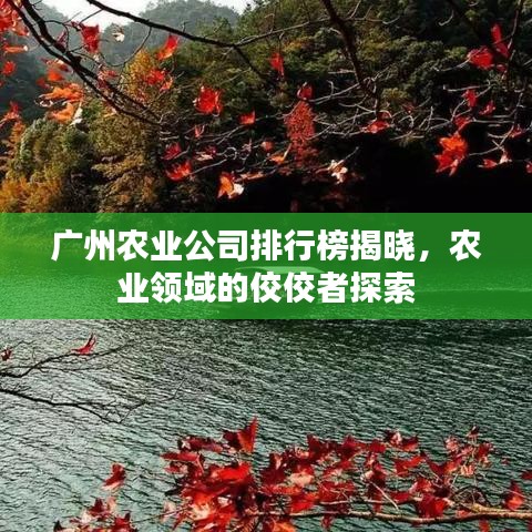 广州农业公司排行榜揭晓，农业领域的佼佼者探索