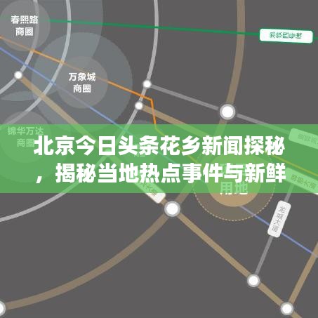北京今日头条花乡新闻探秘，揭秘当地热点事件与新鲜资讯！