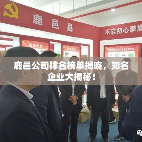 鹿邑公司排名榜单揭晓，知名企业大揭秘！