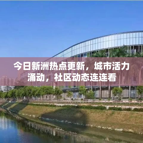 今日新洲热点更新，城市活力涌动，社区动态连连看