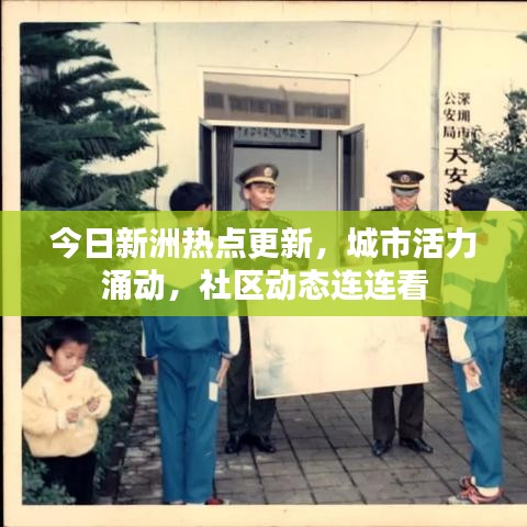 今日新洲热点更新,城市活力涌动,社区动态连连看