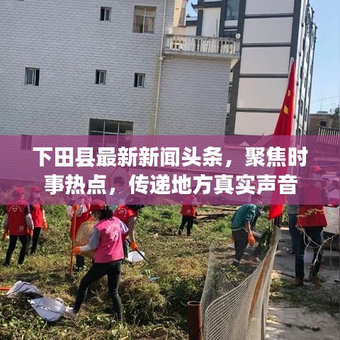 下田县最新新闻头条，聚焦时事热点，传递地方真实声音