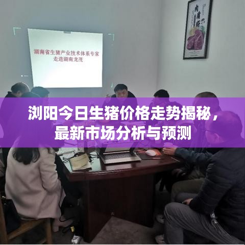 浏阳今日生猪价格走势揭秘，最新市场分析与预测