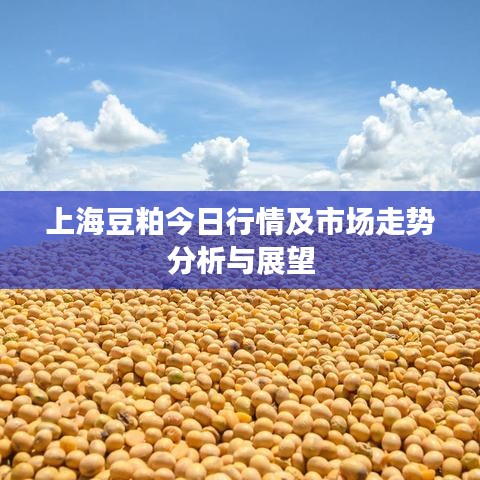 上海豆粕今日行情及市场走势分析与展望