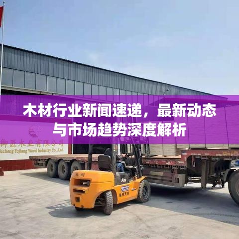 木材行业新闻速递，最新动态与市场趋势深度解析