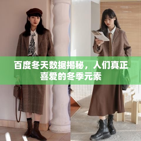 百度冬天数据揭秘，人们真正喜爱的冬季元素