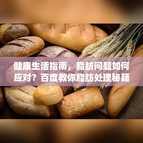 健康生活指南,脂肪问题如何应对?百度教你脂肪处理秘籍!