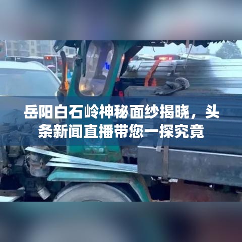 岳阳白石岭神秘面纱揭晓，头条新闻直播带您一探究竟