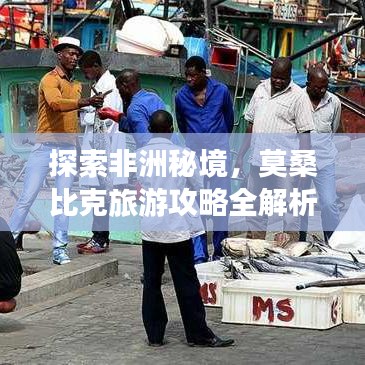 探索非洲秘境，莫桑比克旅游攻略全解析