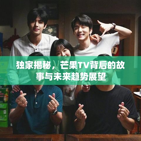 独家揭秘，芒果TV背后的故事与未来趋势展望