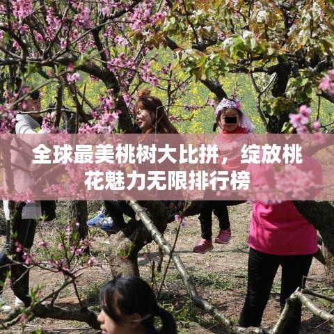 全球最美桃树大比拼，绽放桃花魅力无限排行榜