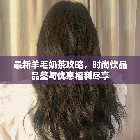 最新羊毛奶茶攻略，时尚饮品品鉴与优惠福利尽享