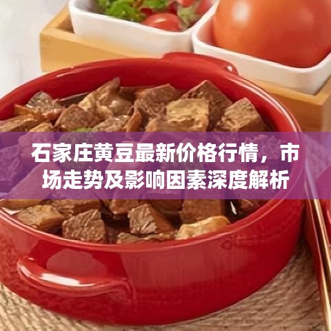 石家庄黄豆最新价格行情，市场走势及影响因素深度解析