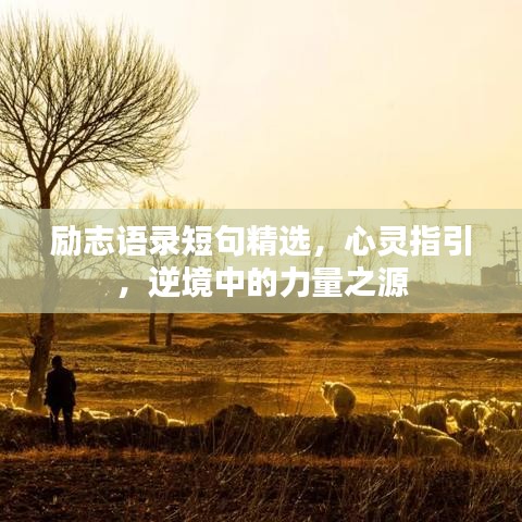 励志语录短句精选，心灵指引，逆境中的力量之源