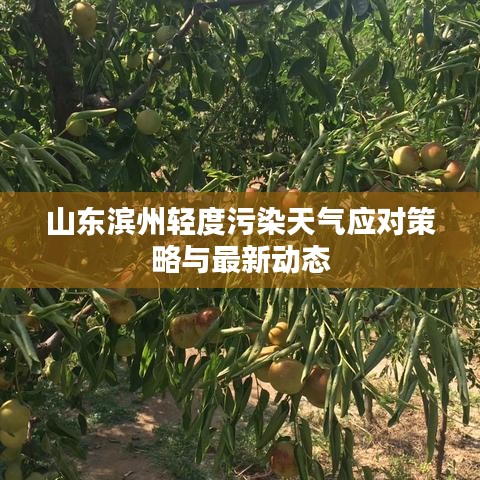山东滨州轻度污染天气应对策略与最新动态