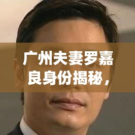 广州夫妻罗嘉良身份揭秘,最新动态与故事回顾
