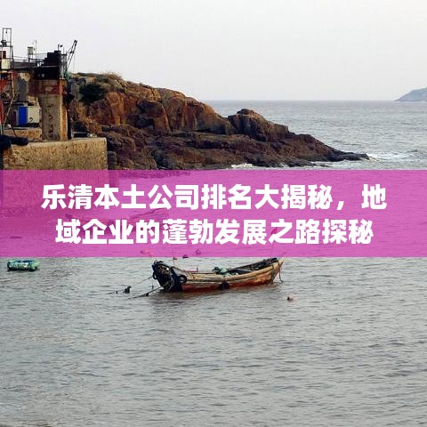 乐清本土公司排名大揭秘,地域企业的蓬勃发展之路探秘